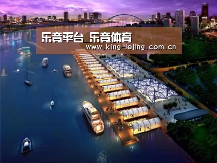 案例展示八