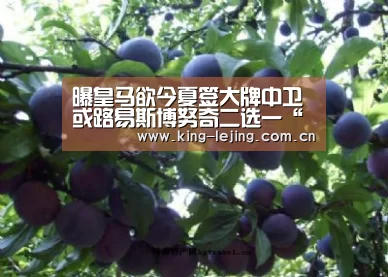 曝皇马欲今夏签大牌中卫 或路易斯博努奇二选一“乐竟体育官网”(图2) 乐竟体育