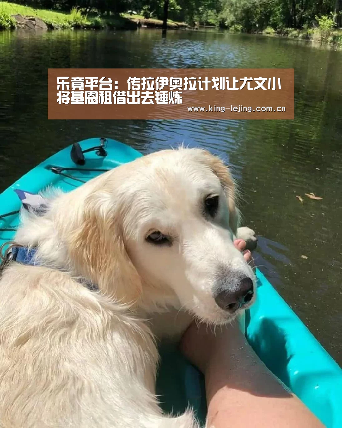 乐竟体育