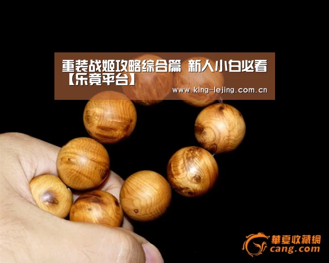 重装战姬攻略综合篇 新人小白必看【乐竟平台】(图2) 乐竟官网